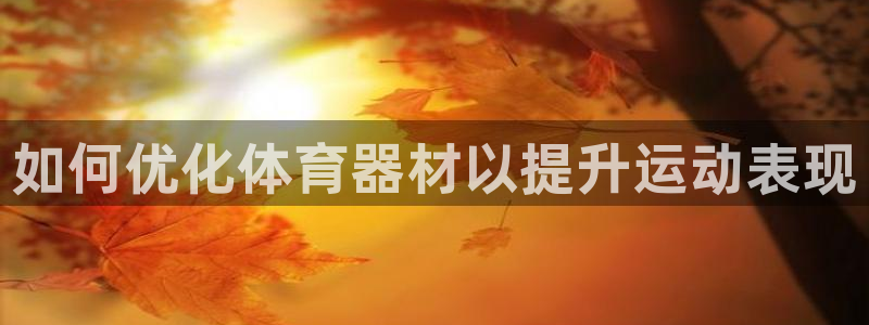 尊龙凯时代理能提出来不：如何优化体育器材以提升运动表