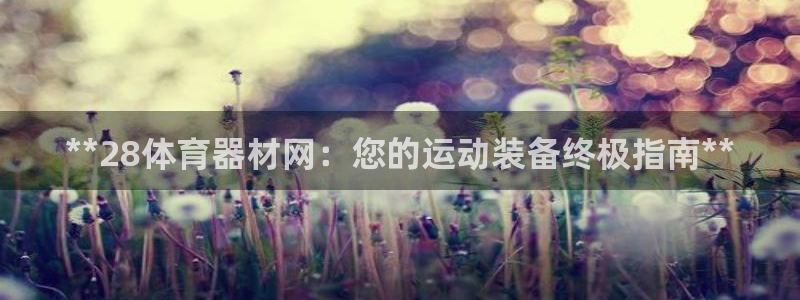 尊龙凯时 人生就是搏客服：**28体育器材网：您的运