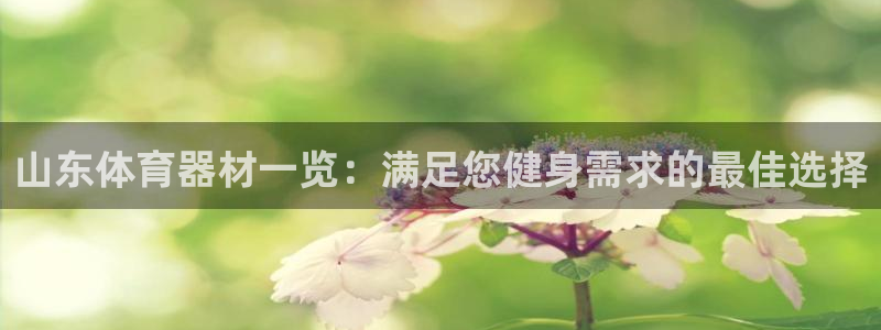 尊龙凯时代理佣金发不发：山东体育器材一览：满足您健身
