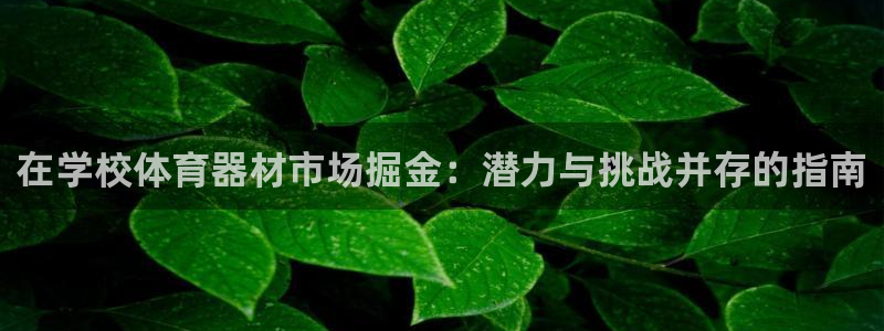 尊龙凯时取钱很慢：在学校体育器材市场掘金：潜力与挑战
