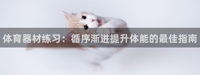 尊龙am i blue：体育器材练习：循序渐进提升体