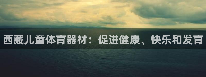 凯时AG网：西藏儿童体育器材：促进健康、快乐和发育