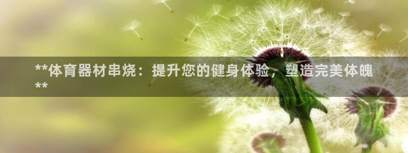尊龙人生就是博官：**体育器材串烧：提升您的健身体验，塑造完