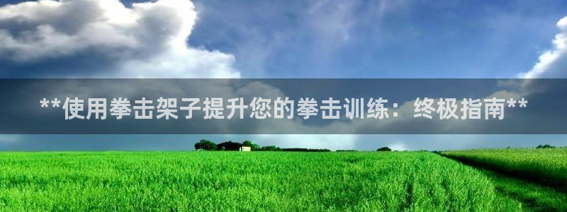 尊龙人生就是博网站：**使用拳击架子提升您的拳击训练