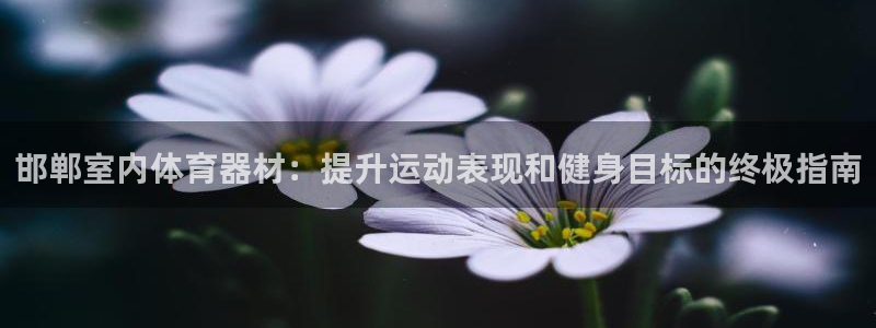 尊龙官网APP下载：邯郸室内体育器材：提升运动表现和