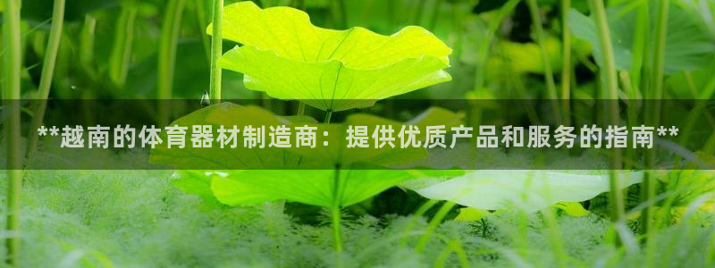 尊龙 贴吧：**越南的体育器材制造商：提供优质产品和