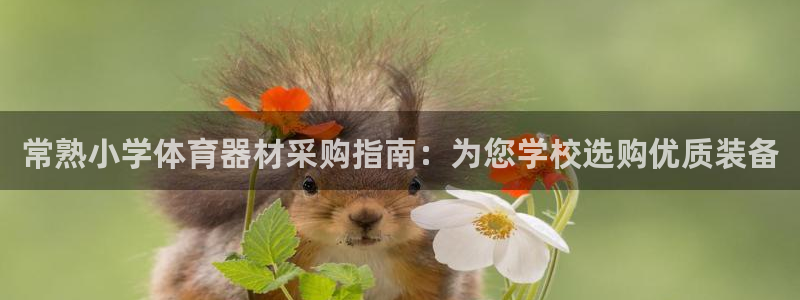 尊龙凯时网站赌愽是真的吗：常熟小学体育器材采购指南：