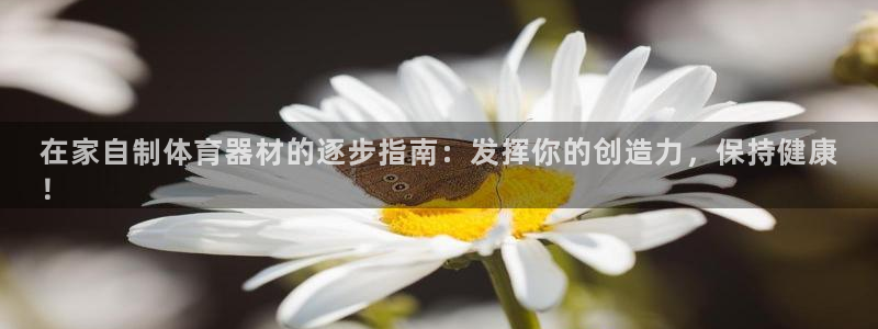 ZL尊龙凯时平台：在家自制体育器材的逐步指南：发挥你
