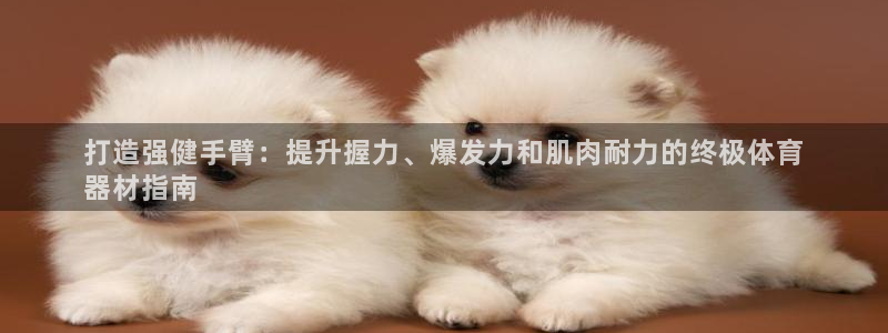 尊龙ag：打造强健手臂：提升握力、爆发力和肌肉耐力的
