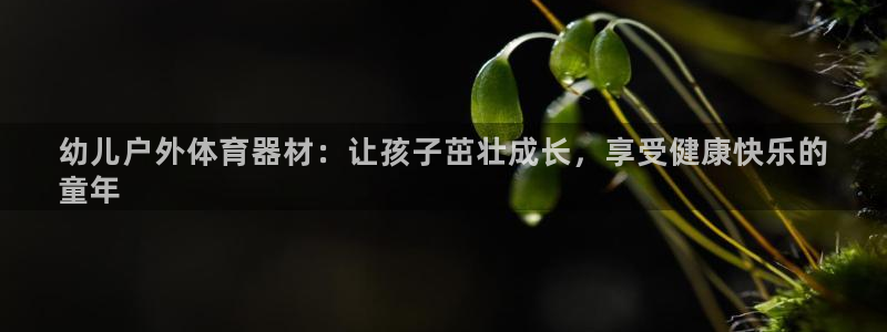 尊龙会：幼儿户外体育器材：让孩子茁壮成长，享受健康快