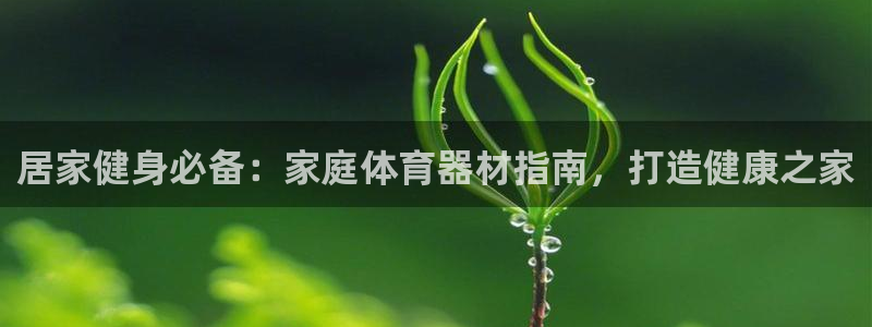 尊龙凯时是赌博嘛：居家健身必备：家庭体育器材指南，打