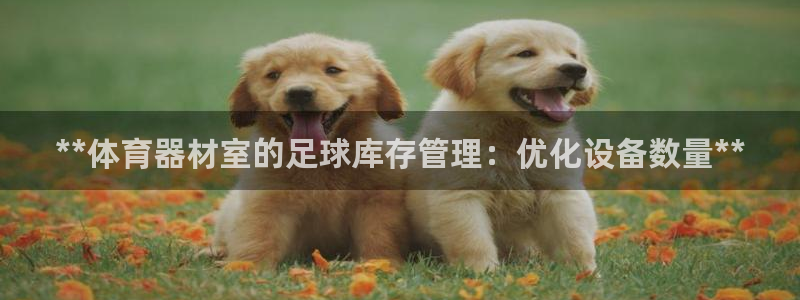 尊龙怎么没消息了：**体育器材室的足球库存管理：优化
