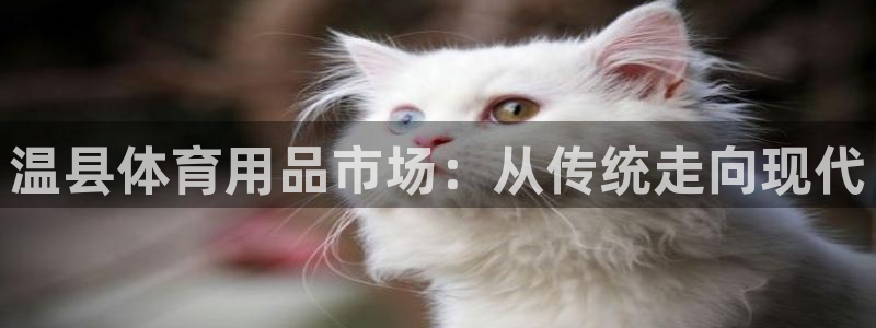 尊龙游戏官方网