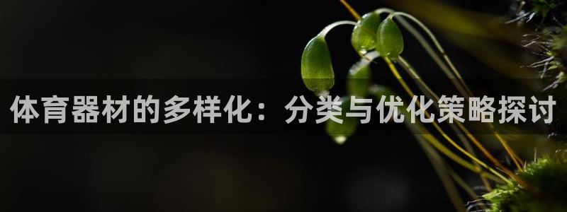 尊龙凯时口碑好吗