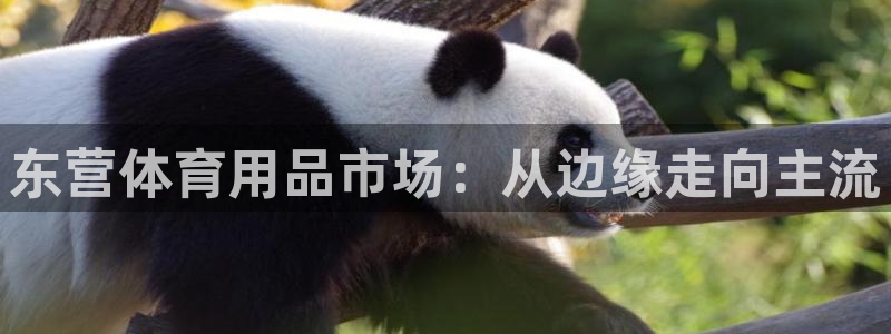 尊龙官网入口