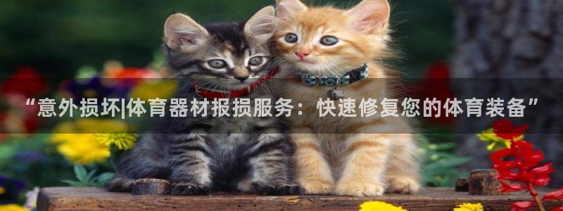 K66凯时国际平台官网