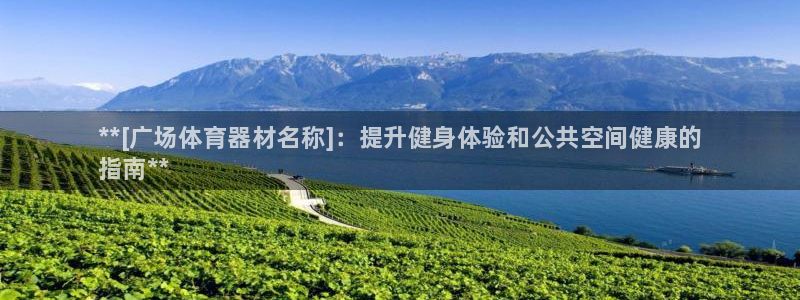 尊龙体育怎么样：**[广场体育器材名称]：提升健身体验和公共