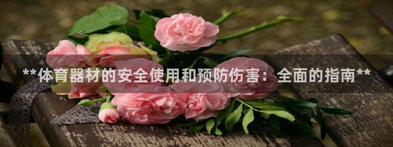 尊龙 国外：**体育器材的安全使用和预防伤害：全面的指南**