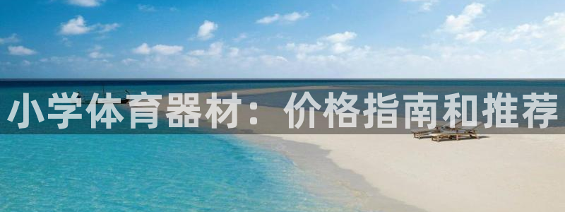 尊龙集团：小学体育器材：价格指南和推荐