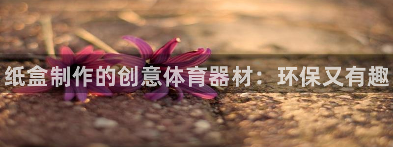 尊龙凯时旗舰厅官网：纸盒制作的创意体育器材：环保又有