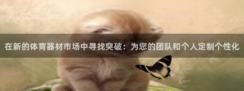 尊龙人生就是博：在新的体育器材市场中寻找突破：为您的