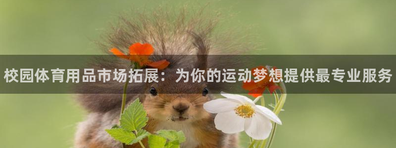 尊龙凯时官网网页版：校园体育用品市场拓展：为你的运动梦想提供