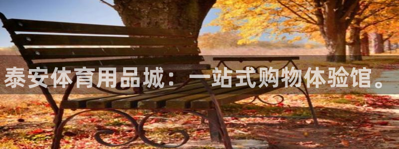 尊龙凯时麻将胡了：泰安体育用品城：一站式购物体验馆。