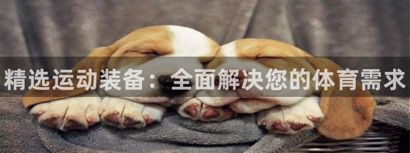 尊龙凯时官方下载：精选运动装备：全面解决您的体育需求