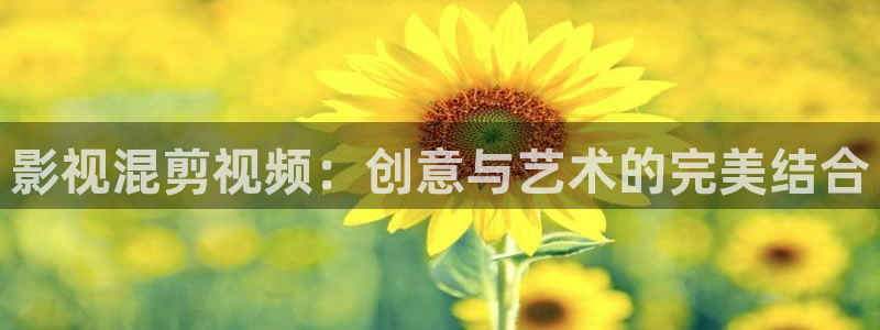大海影视下载软件：影视混剪视频：创意与艺术的完美结合