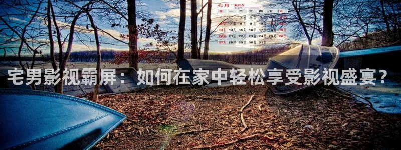 《大海影视》：宅男影视霸屏：如何在家中轻松享受影视盛宴？