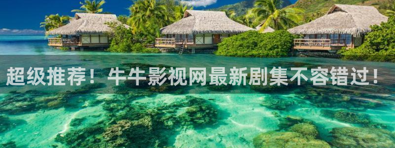 大海影视投屏版：超级推荐！牛牛影视网最新剧集不容错过！
