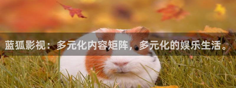 大海影视视频在线观看：蓝狐影视：多元化内容矩阵，多元化的娱乐生活。