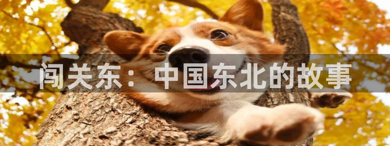 大海影视app官方下载：闯关东：中国东北的故事