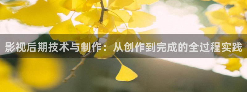 大海影视大全免费：影视后期技术与制作：从创作到完成的全过程实践