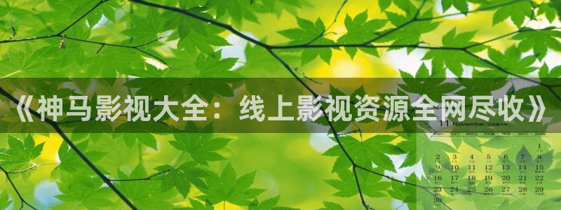 大海影视怎么下载：《神马影视大全：线上影视资源全网尽收》