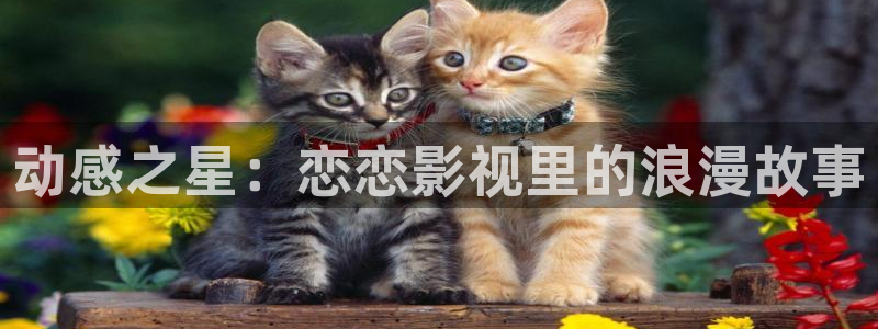 蓝蓝的天空像一片美丽的大海：动感之星：恋恋影视里的浪漫故事