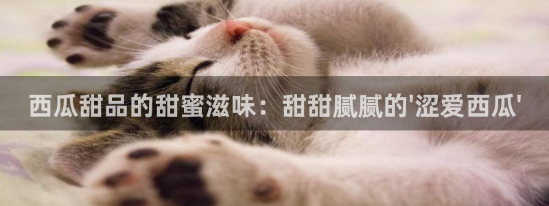 大海影视下载最新免费版：西瓜甜品的甜蜜滋味：甜甜腻腻的\'涩爱西瓜\'