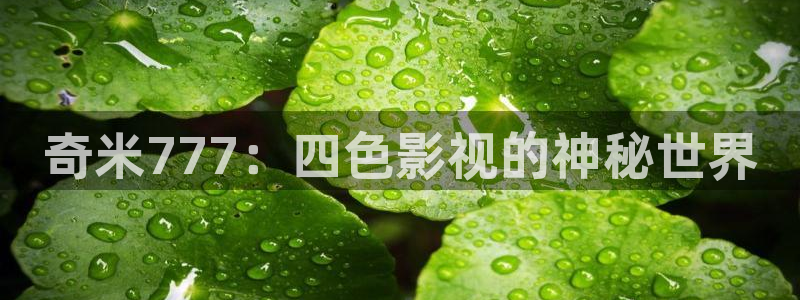 大海影视正版免费观看：奇米777：四色影视的神秘世界