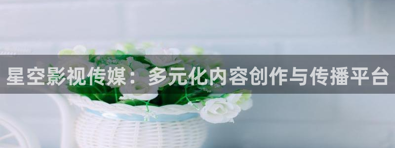 大海影视大全：星空影视传媒：多元化内容创作与传播平台