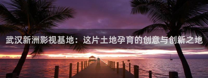 大海影视免费版：武汉新洲影视基地：这片土地孕育的创意与创新之地