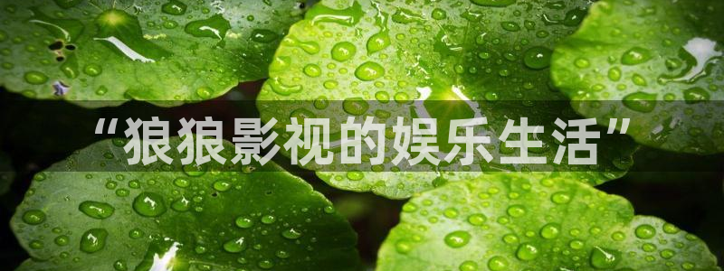大海影视在线观看免费：“狼狼影视的娱乐生活”