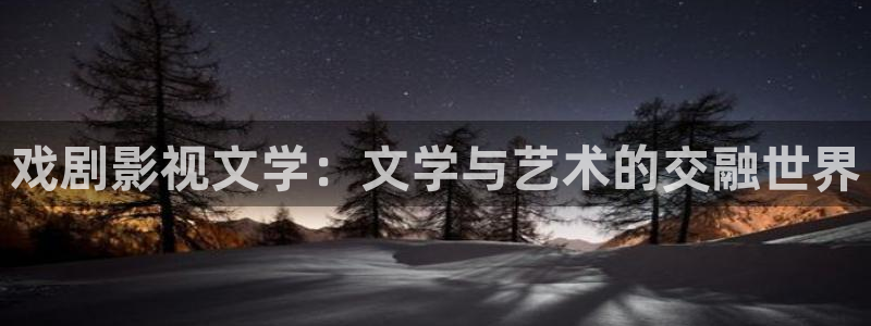 大海影视免费高清观看：戏剧影视文学：文学与艺术的交融世界