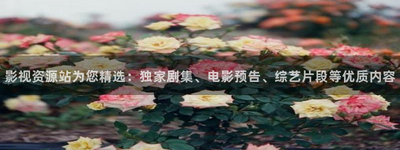 大海影视app下载：影视资源站为您精选：独家剧集、电影预告、综艺片段等优质内容
