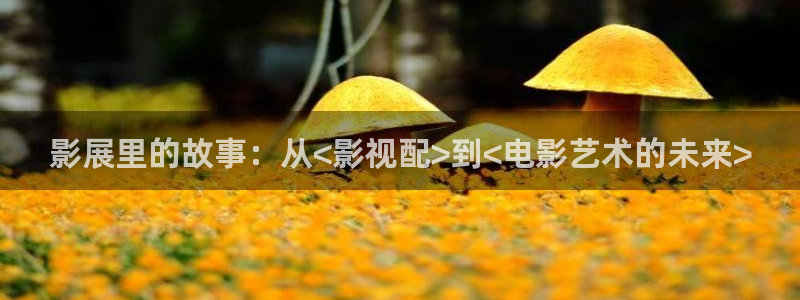 大海影视在线播放：影展里的故事：从<影视配>到<电影艺术的未来>